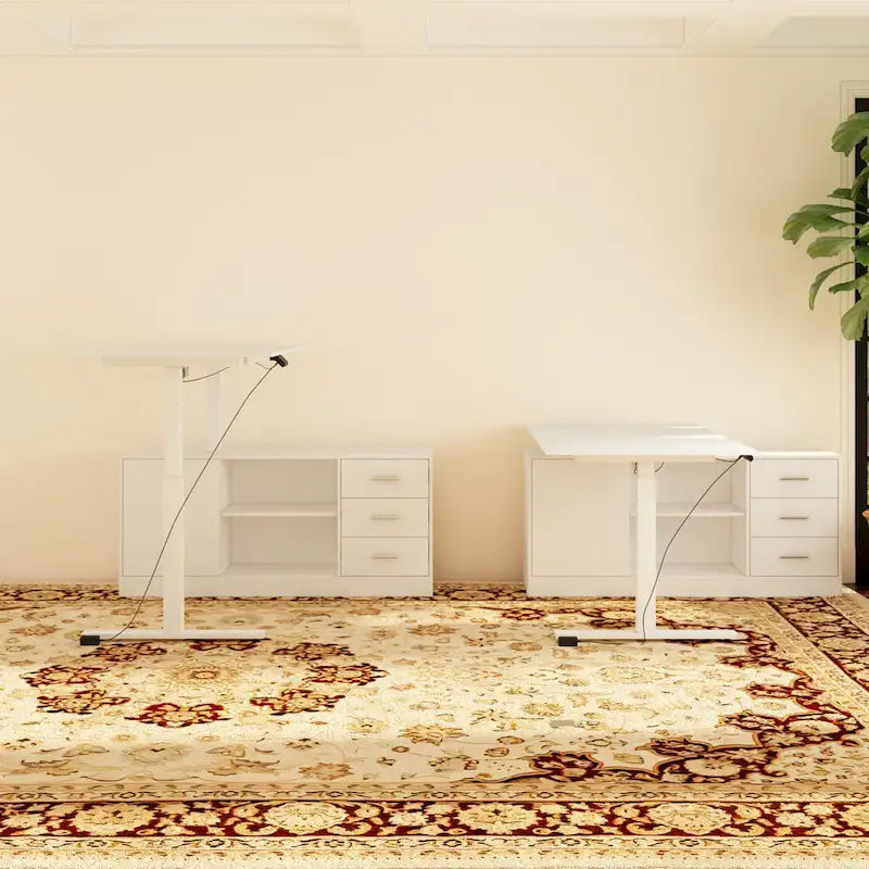 White Electric Height Adjustable Standing Desk with Dual Motor Lift, Home Office